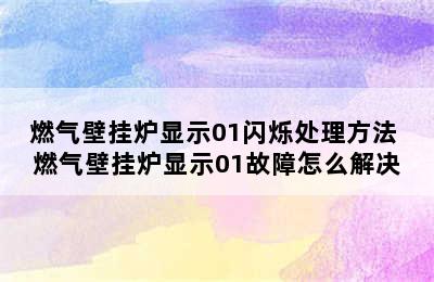 燃气壁挂炉显示01闪烁处理方法 燃气壁挂炉显示01故障怎么解决